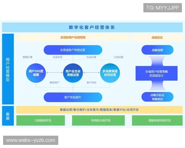 数据挖掘技术深入应用，解锁用户行为洞察价值
