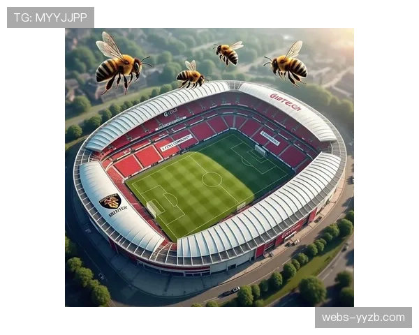 英超与足球基金会联合启动“社区球场翻新计划”,首批资金投向20座球场